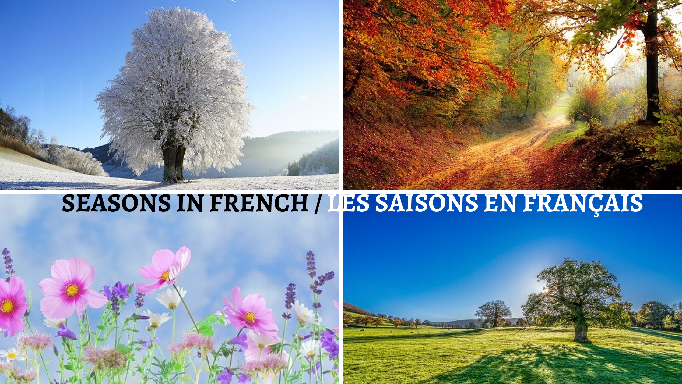 Seasons in French / Les Saisons en Français