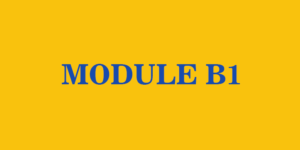 Level B1